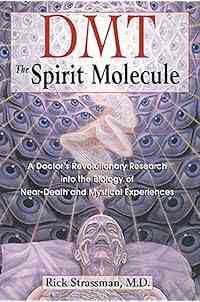 DMT: The Spirit Molecule: A Doctor's Revolutionary Research into the Biology of Near-Death and Mystical Experiences