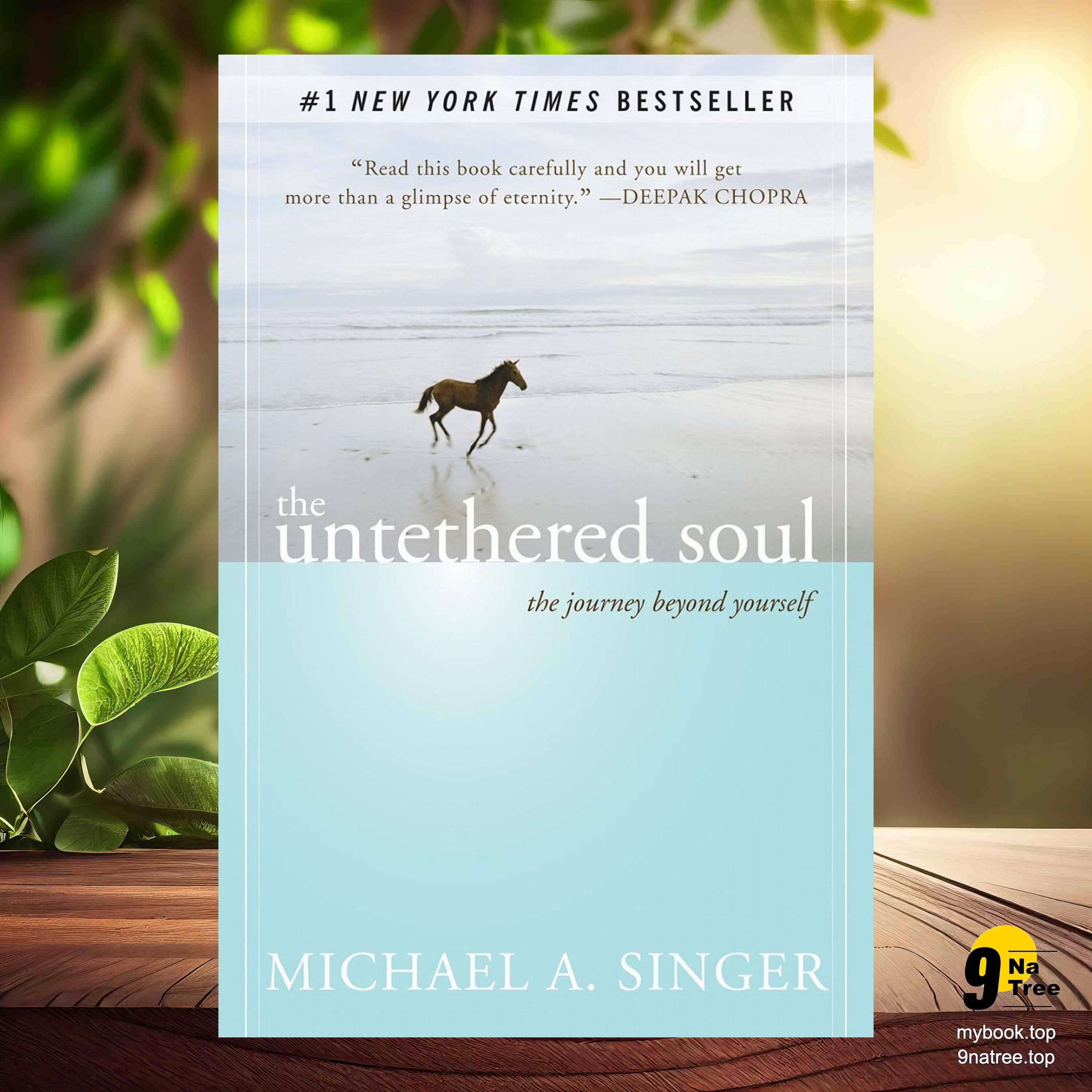 cover of episode [Review] The Untethered Soul: The Journey Beyond Yourself (Michael A. Singer) Summarized