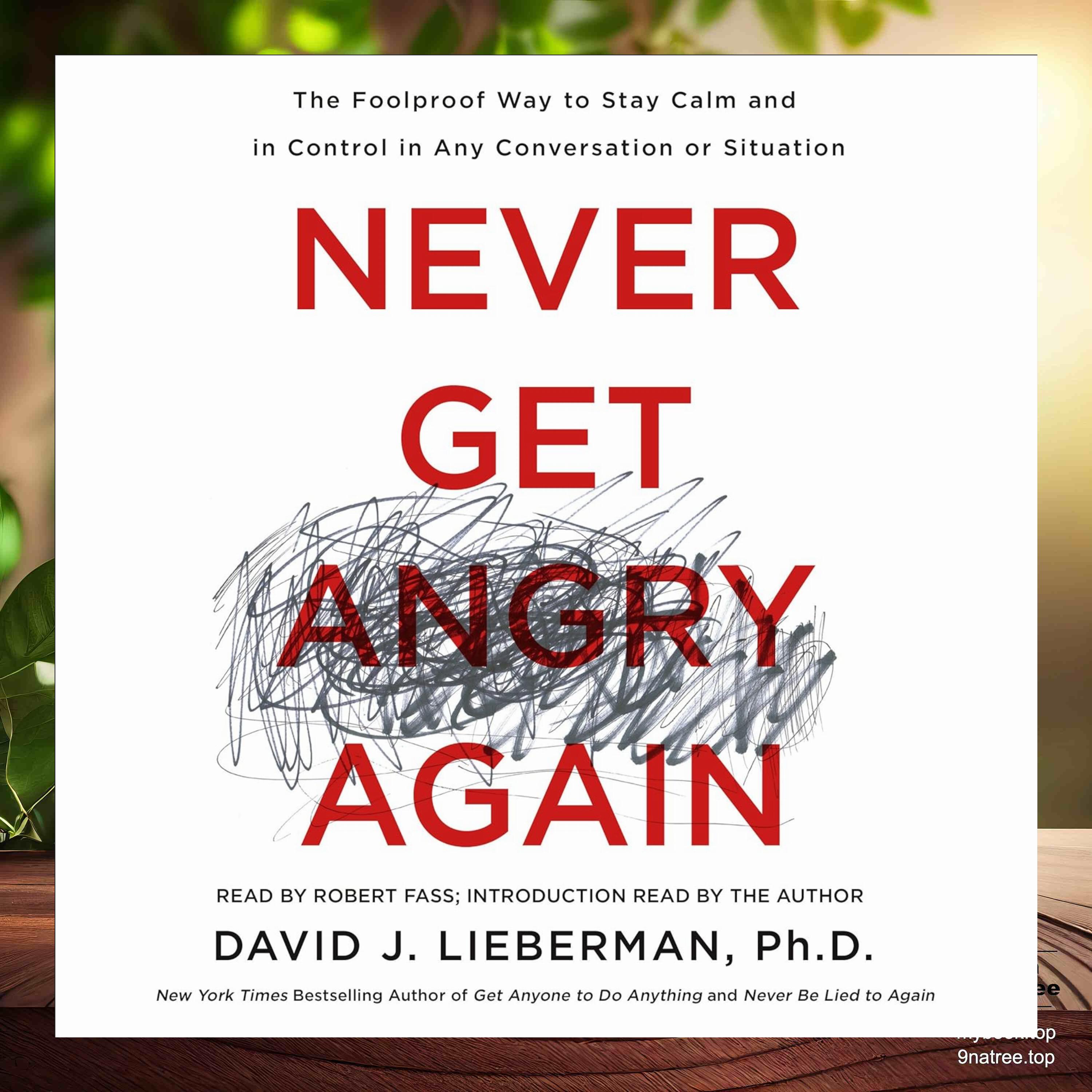 cover of episode [Review] Never Get Angry Again (David J. Lieberman) Summarized