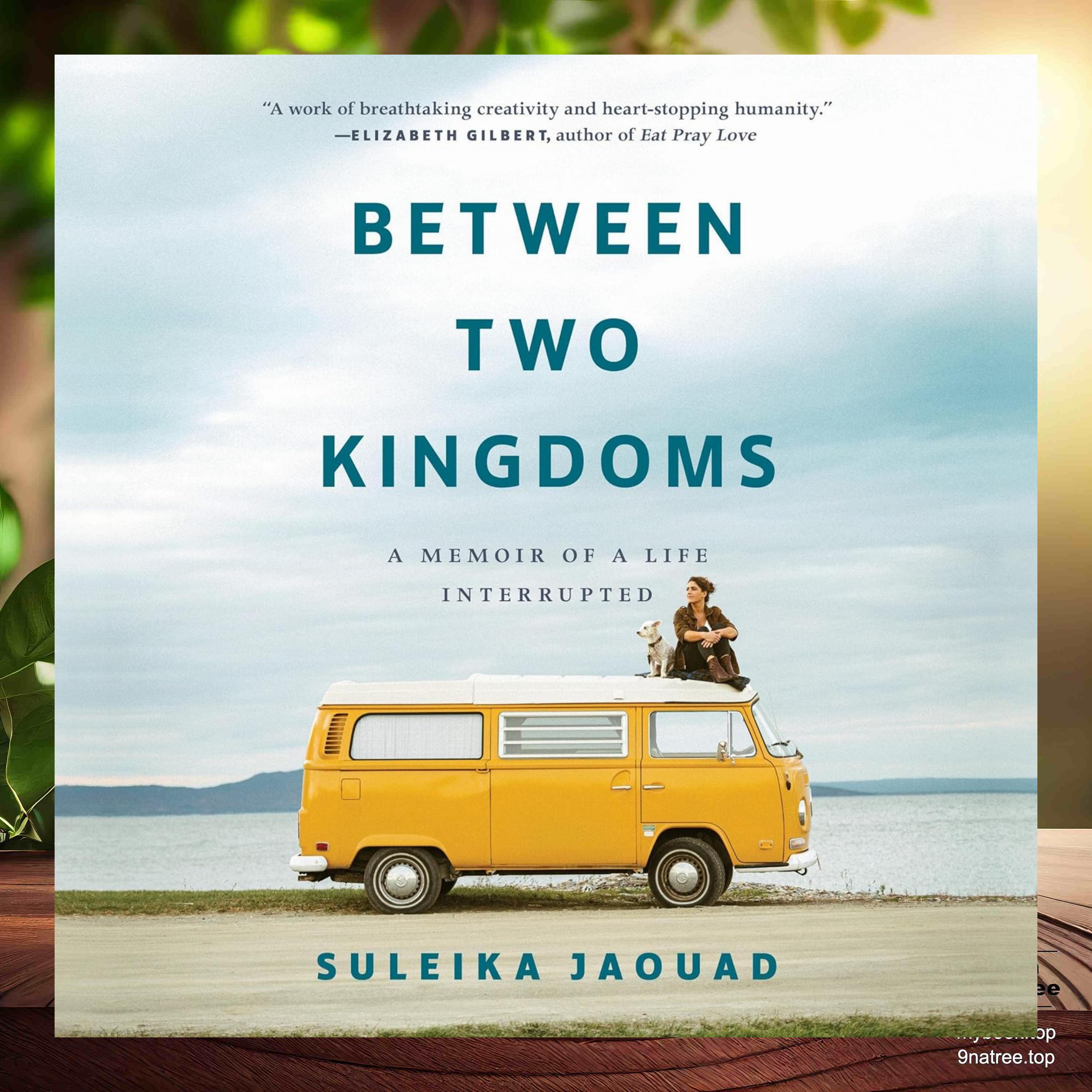 cover of episode [Review] Between Two Kingdoms: A Memoir of a Life Interrupted (Suleika Jaouad) Summarized